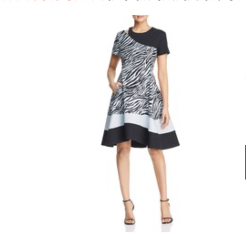 DKNY LUXURY ZEBRA COLLECTION A-LINE PARTY DRESS 2
